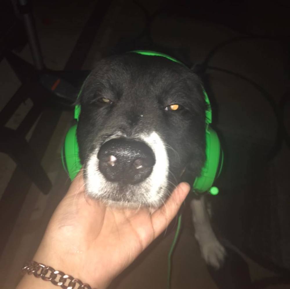 Meet your Posher, Victor